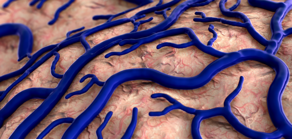 Why Capillaries Need to Be Thin-Walled